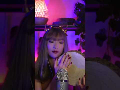 ASMR - Tapping sur du bois