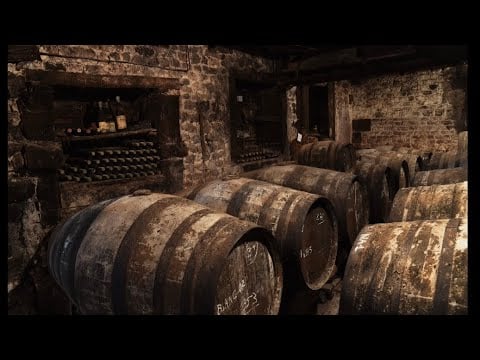 The Haunted Cellar 🕯️ | A Gothic Tavern Quest with Ghosts, Spiders & Hidden Secrets 🍂✨