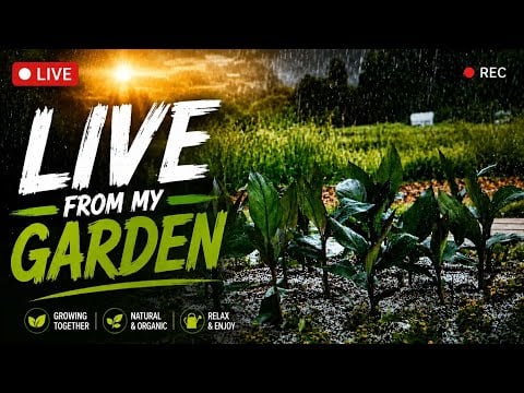 🌱 LIVE FROM MY GARDEN 🌿