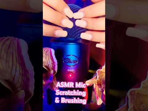 ASMR Mic Scratching & Brushing💅🏼 #asmr #shorts #asmrsounds  #asmrtriggers #asmrforsleep