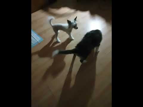 Когда хочешь продолжения дискотеки 🎊 не АСМР