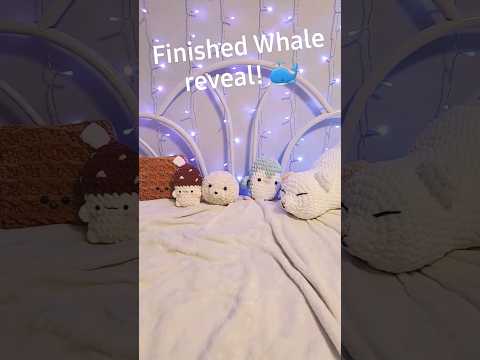 🐳 Update to the WHALE SAGA 🐋 #asmr #asmrshorts #crochet