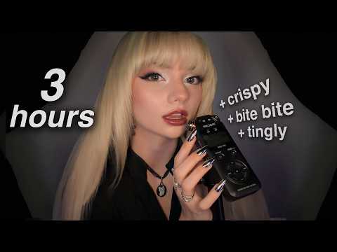 ASMR My Most Requested Video (Tascam Sounds)
