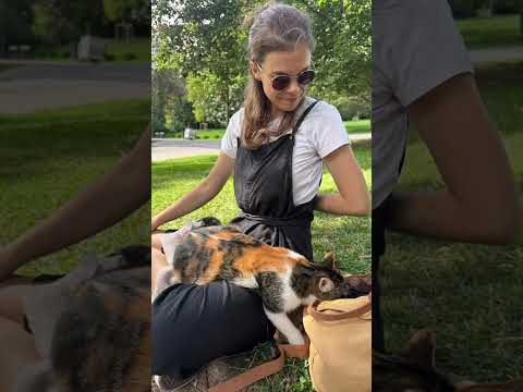 Reiki sessions for your pet be like #reiki #animal #pets