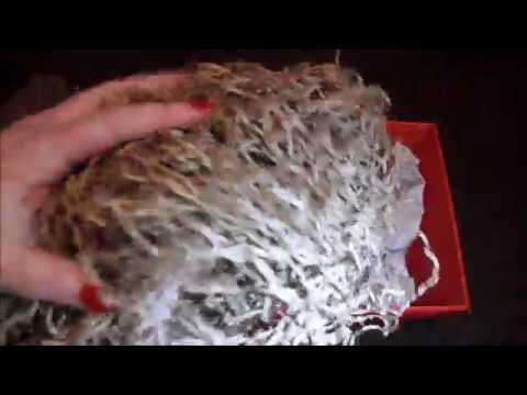 ASMR Unboxing Christmas shortbread hamper 🎄 (no talking)