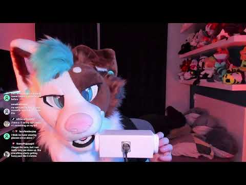 Zooted pup ASMR