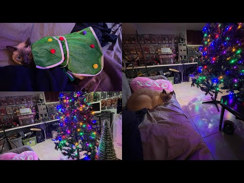 ASMR Tapping And Scratching Fast and Aggressive With Mister! 🎄😸 Best & Ultimate Tingles ✨