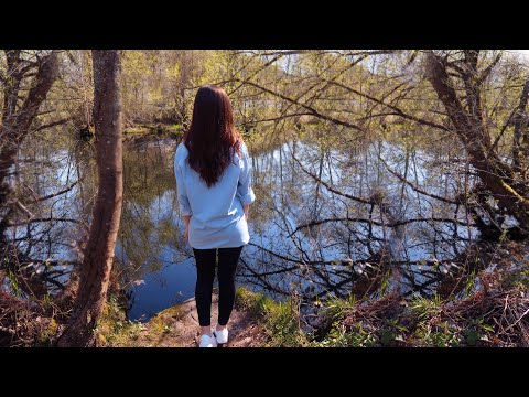 Nature Walk River (ASMR)