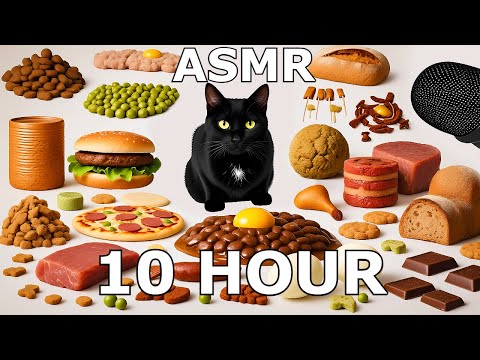 [10HOUR] CAT ASMR Eating Sounds for SLEEP & RELAXATION 💤