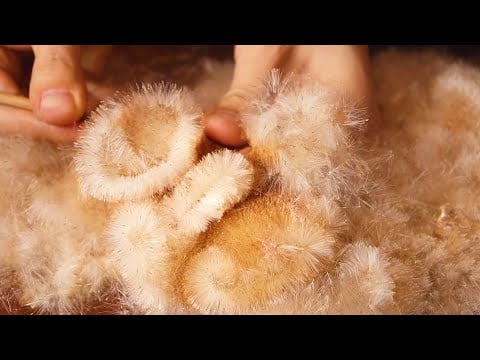 ASMR NEW Triggers For Sleep Guaranteed 😋 ASMR계 최강자 부들 등장! 이게 바로 팅글이지!