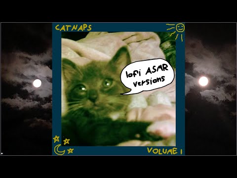 ASMR🌕🐈‍⬛Catnaps Vol.1 (Lofi ASMR Versions of @philomusiq Songs)🌕🐈‍⬛