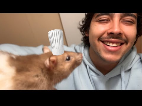 House Tour For The New Chef | ASMR