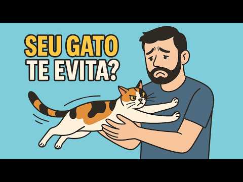POR QUE SEU GATO NÃO GOSTA DE COLO? Descubra o verdadeiro motivo!