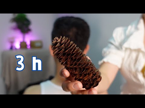 Ultimate ASMR for Deep Sleep and Relaxation - Hair Combing with Pine Cones | 3 Hours Scalp Massage