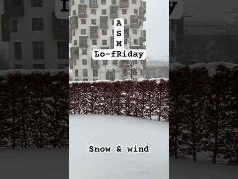 Lo-fRiday ASMR 🌙 Snow & wind