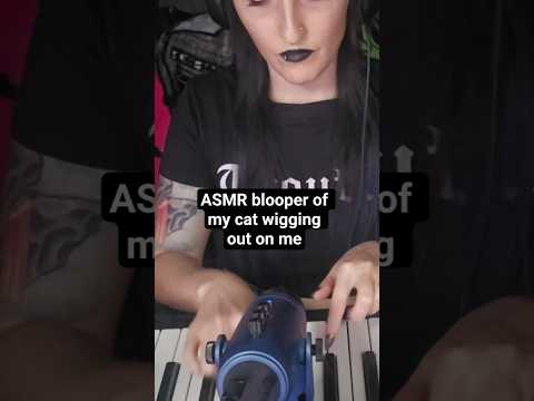 WHY ARE CATS 😭 #asmr #cat #cats #asmrsoftspoken