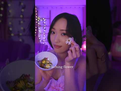 FLEURS ASMR 🌸 (5 triggers)