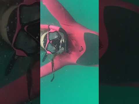 ASMR in the Ocean 🐠 #asmr  #visualtingle #asmrtriggers #relaxing #lofiasmr #relax #asmrsounds