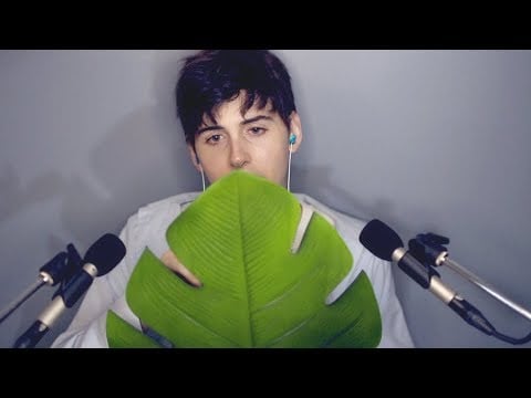 An Asmr Leaf