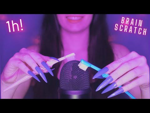 Asmr Mic Scratching - Brain Scratching | Brain Melting Asmr No Talking for Sleep | Long Nails 1H