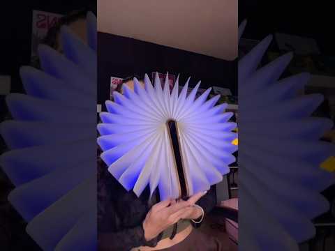 todos os meus livrinhos que brilham de gravar asmr