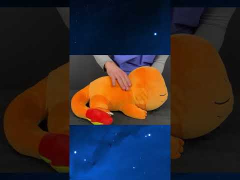 Relaxing Chiropractic adjustment on your Charmander | #asmr  #pokemon #chiropractic