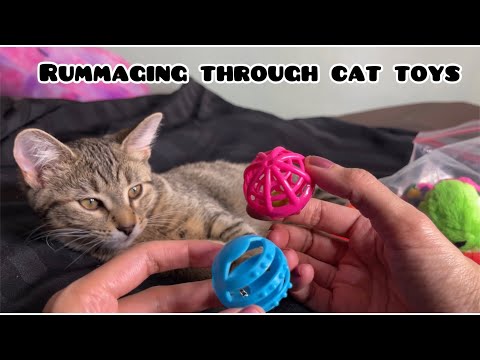 ASMR Rummaging Through a bag of Cat Toys (rummage) w/ plastic crinkles