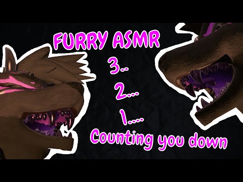 FURRY ASMR | Counting you down (BINAURAL) (LAYERED)