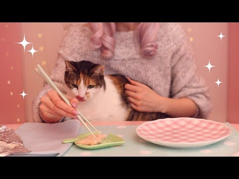 Cat Eating Salmon Mukbang (ASMR with Maymay)