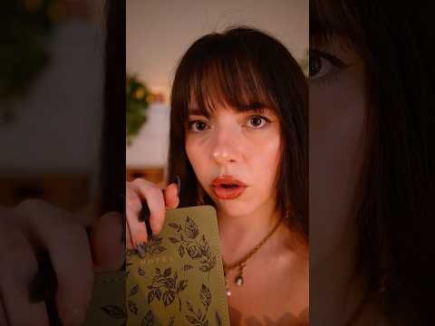 ASMR Fantasy Creature Matchmaking Services 🧚🐉🐦‍🔥
