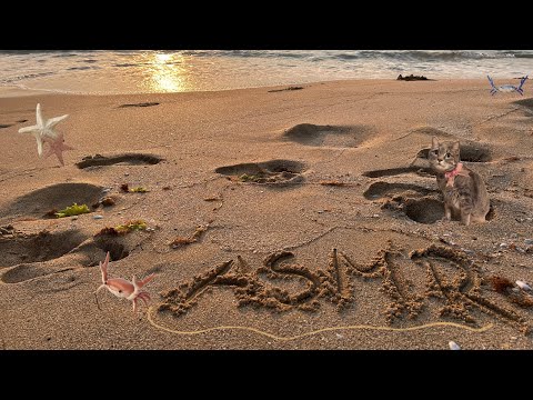 asmr lofi 🐚 relaxing triggers, tapping, sea sounds { no talking }