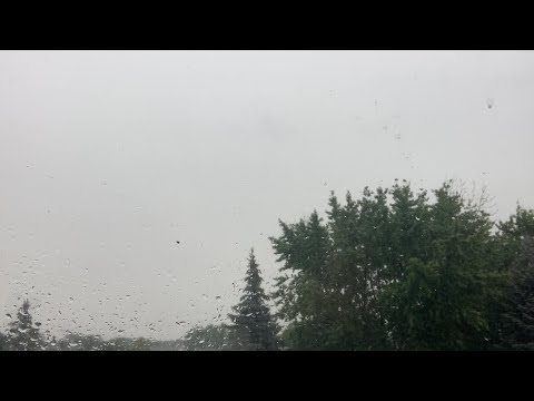 Rain and Humming Sounds Relaxing ASMR 🌧