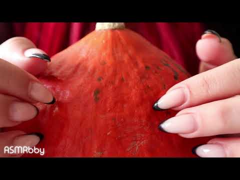 asmr ✨ pumpkin tapping and scratching 🎃 (no talking)