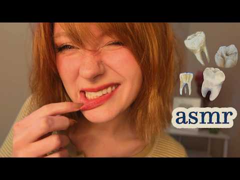 teeth sounds asmr 🦷 (tapping and scratching)