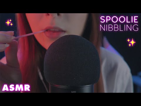 [ASMR] Intense Spoolie Nibbling (Mouth Sounds)