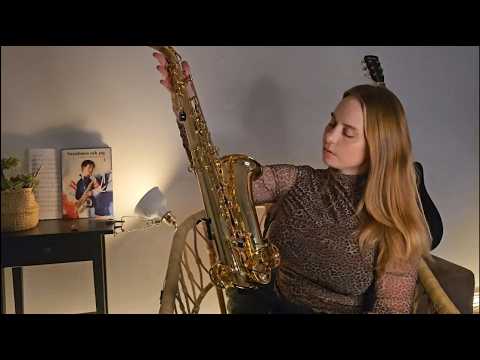asmr roleplay | cleaning musical instruments 🎷