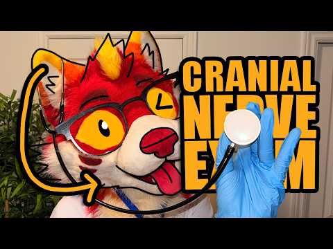 A Medical Cranial Nerve Exam with a Dog Creature ASMR 🩺 (1 Hour)
