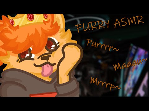 Needy Kitty meows at You!! (Cat sounds, No Talking) || FURRY ASMR 🧡🐱