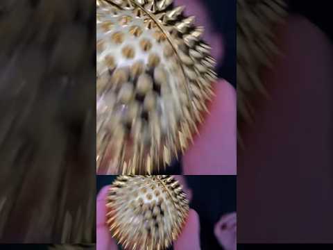 Amazing Tingles ! 💯 #asmr #tingles #relax