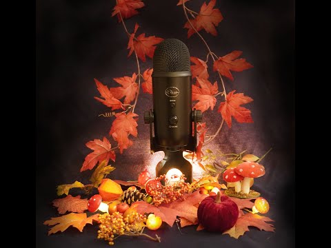 ASMR | Cozy Autumn Triggers 🍁 For Deep Sleep & Pleasant Tingles (No Talking)