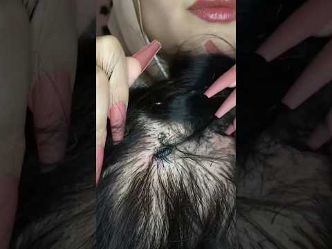 You have something here 🧐 #asmr #visualtingle #shorts #tingles #mouthwhisper #asmrhair