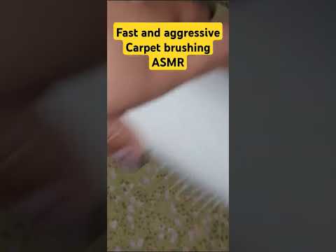 fast and aggressive carpet brushing ASMR #asmr #fastandagressiveasmr #scratchingasmr