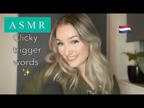 ASMR🇳🇱 | CLICKY TRIGGER WORDS ✨