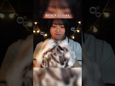 激しいシャンプーは好きですか？ #ASMR