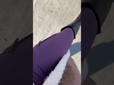 ASMR riskante Wanderung mit Hunden auf einem Schlammweg. 🤣