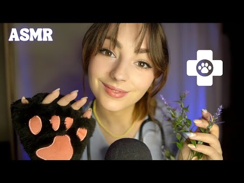 ♡ ASMR/ POV : Tu es un chat chez le Vétérinaire (ronronnement, caresses) ♡