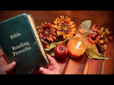 ASMR Bible Reading (Soft Spoken) Checking out selected verses in Proverbs.