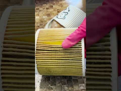 Easy Way to Clean Your Vacuum Filter at Home!