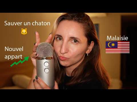 ASMR F.A.Q : Mon nouvel appart, j'ai trouvé un chaton malade.... (Vidéos à l'appui)