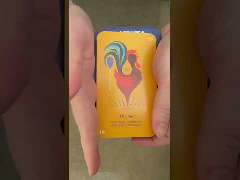 I love this card 🌞 #tarotreading